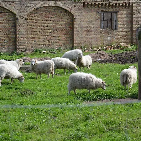 Farm stay Feriengut Dalwitz Vorwerk Strietfe *