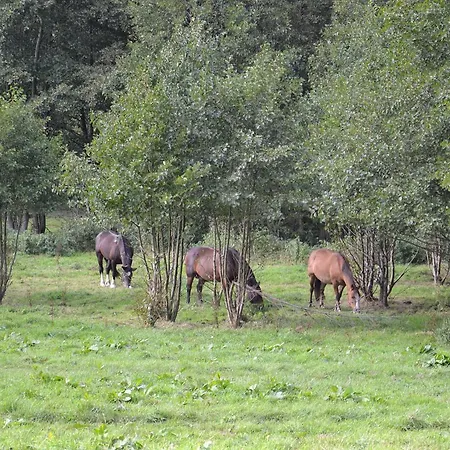 Feriengut Dalwitz Vorwerk Strietfe Farm stay Walkendorf